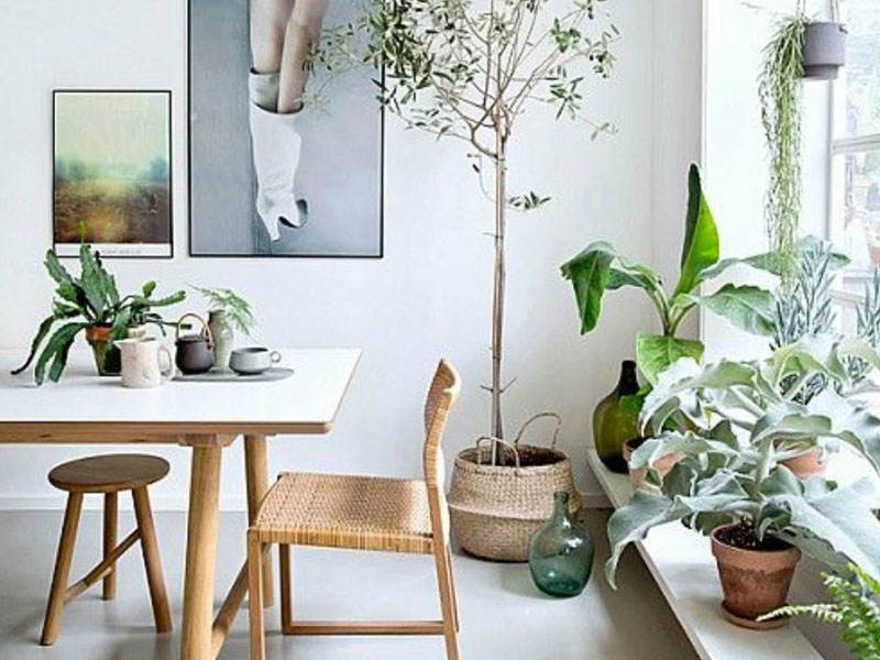 Impressive Home Office Ideas